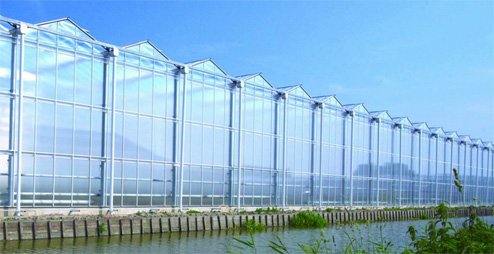 PC greenhouse PC板温室展示